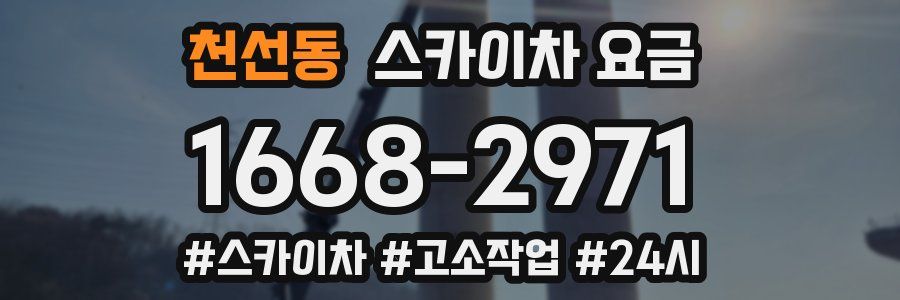 천선동 스카이차 요금