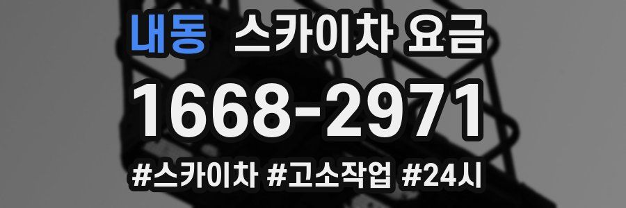 내동 스카이차 요금