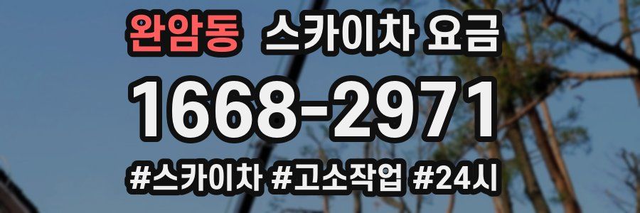 완암동 스카이차 요금