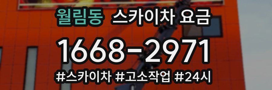 월림동 스카이차 요금