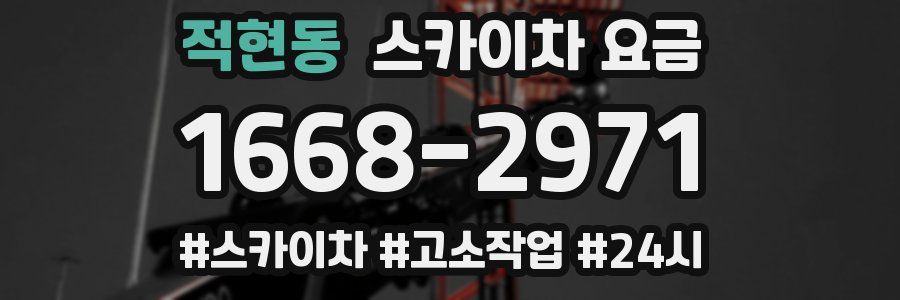 적현동 스카이차 요금