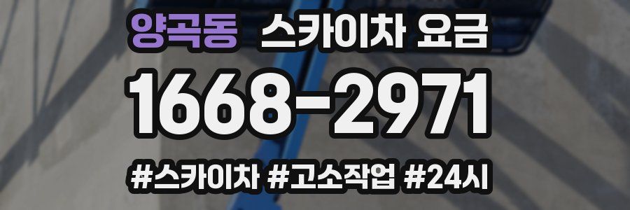 양곡동 스카이차 요금