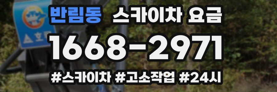 반림동 스카이차 요금