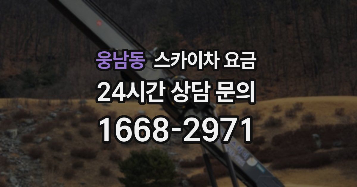 웅남동 스카이차 요금