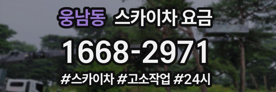 웅남동 스카이차 요금