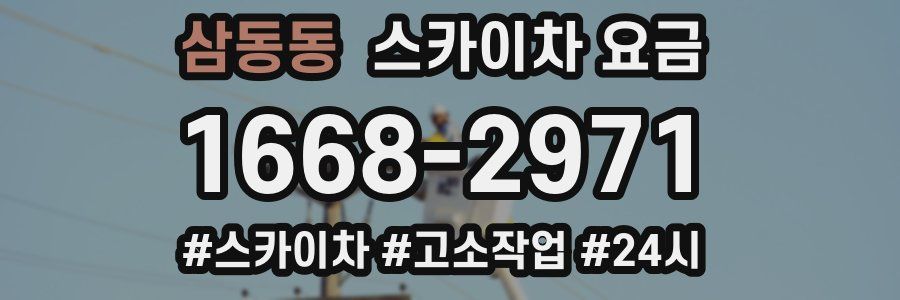 삼동동 스카이차 요금