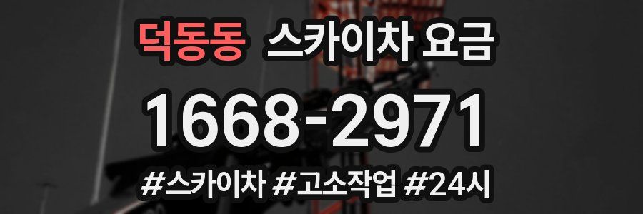 덕동동 스카이차 요금