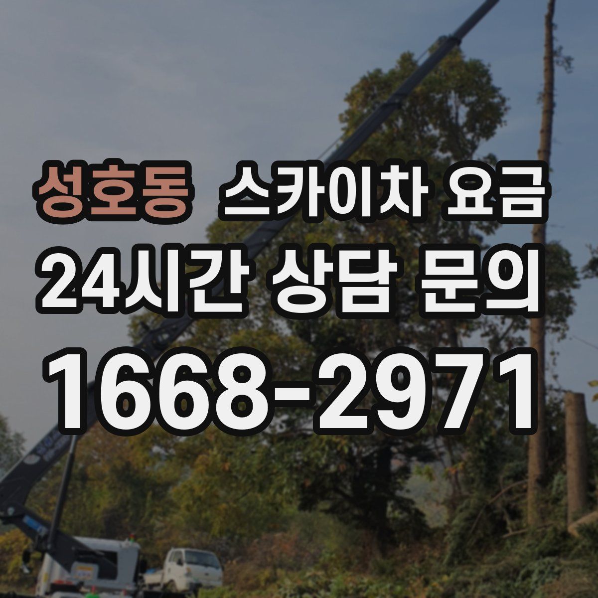 성호동 스카이차 요금