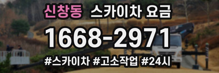 신창동 스카이차 요금