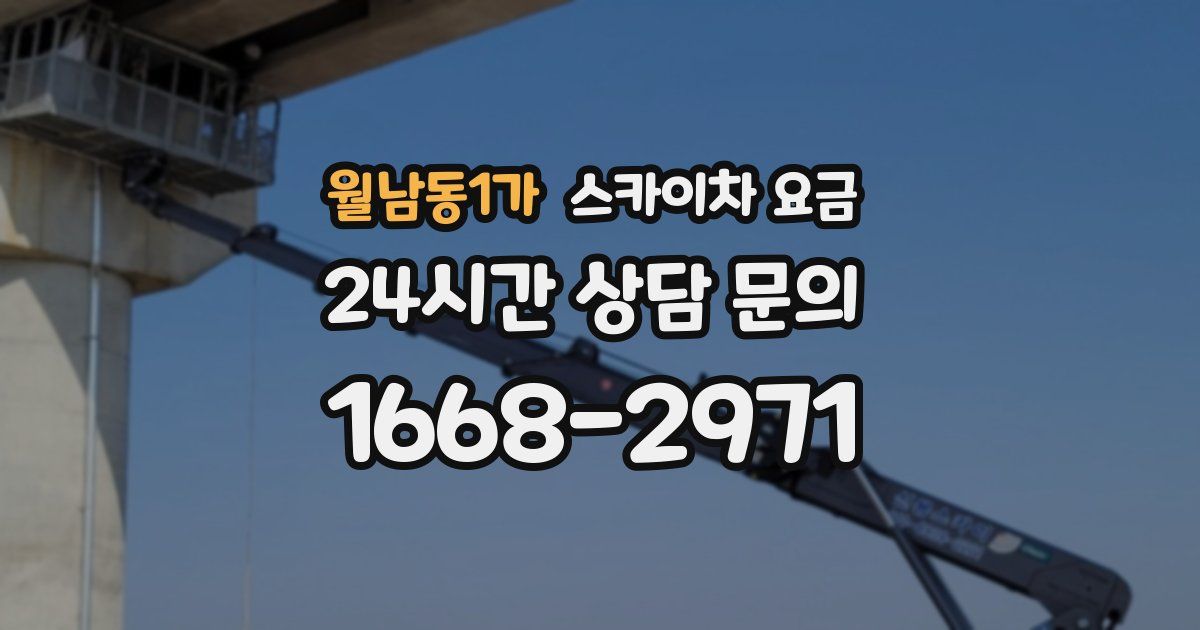 월남동1가 스카이차 요금