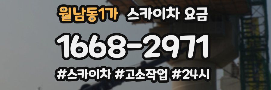 월남동1가 스카이차 요금