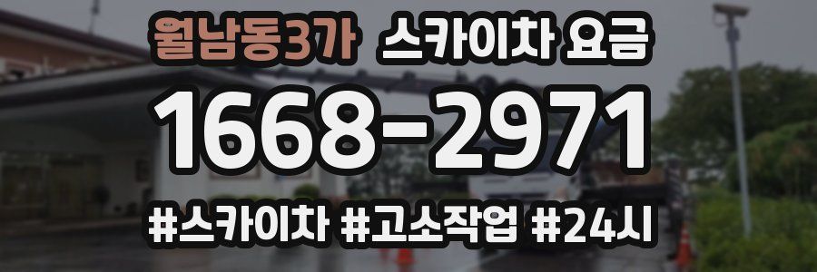 월남동3가 스카이차 요금