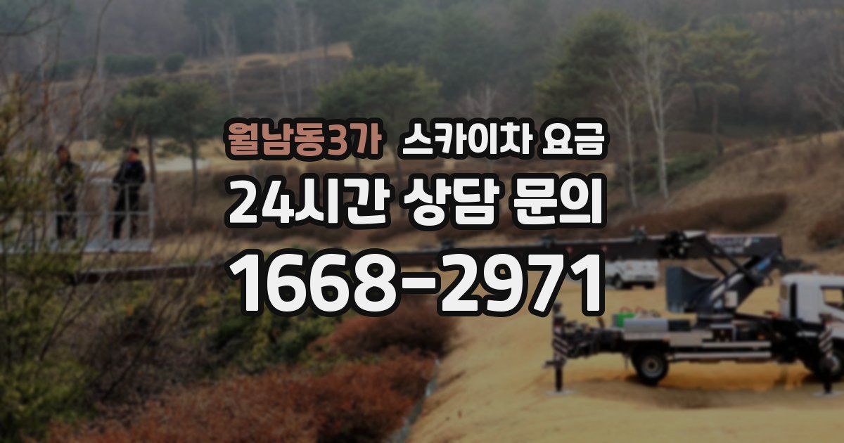 월남동3가 스카이차 요금
