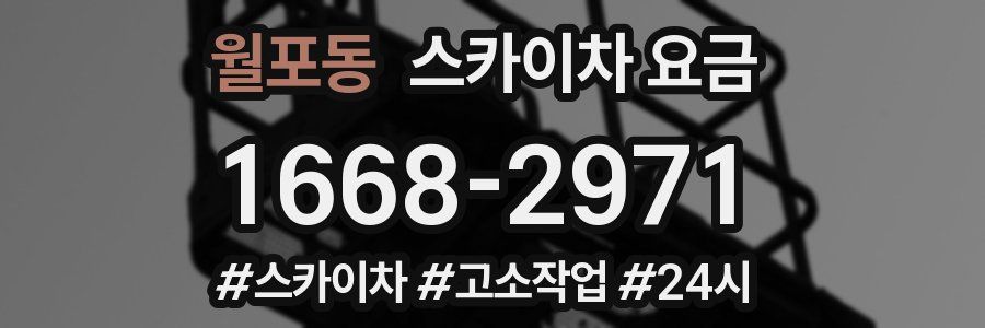 월포동 스카이차 요금