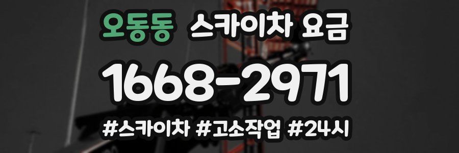 오동동 스카이차 요금