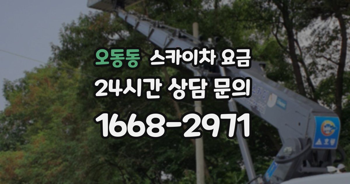 오동동 스카이차 요금