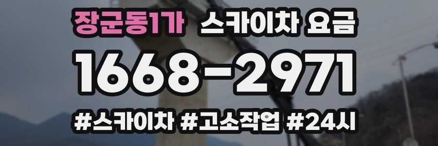 장군동1가 스카이차 요금