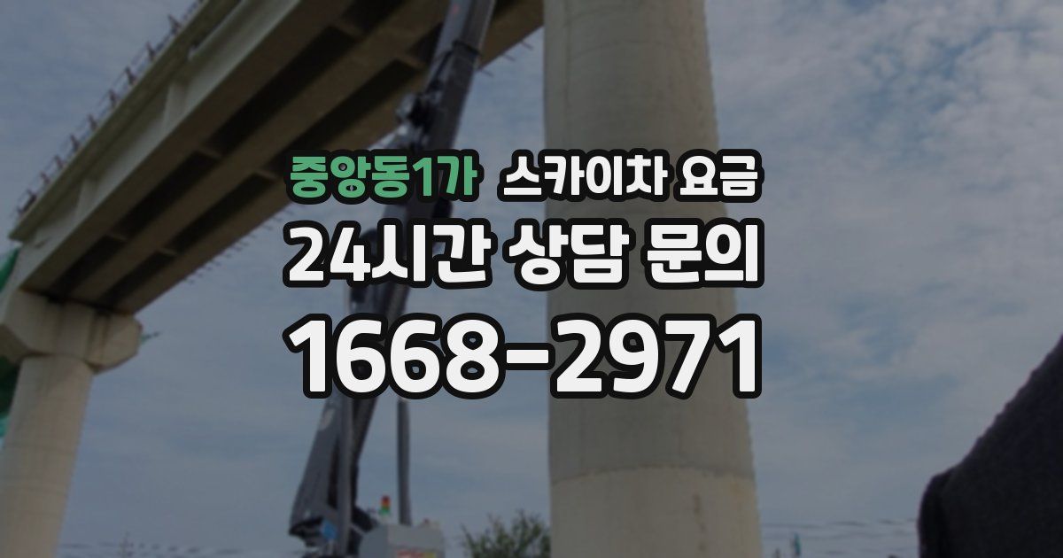 중앙동1가 스카이차 요금