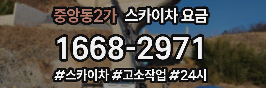 중앙동2가 스카이차 요금