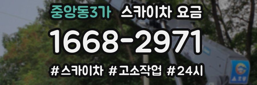 중앙동3가 스카이차 요금