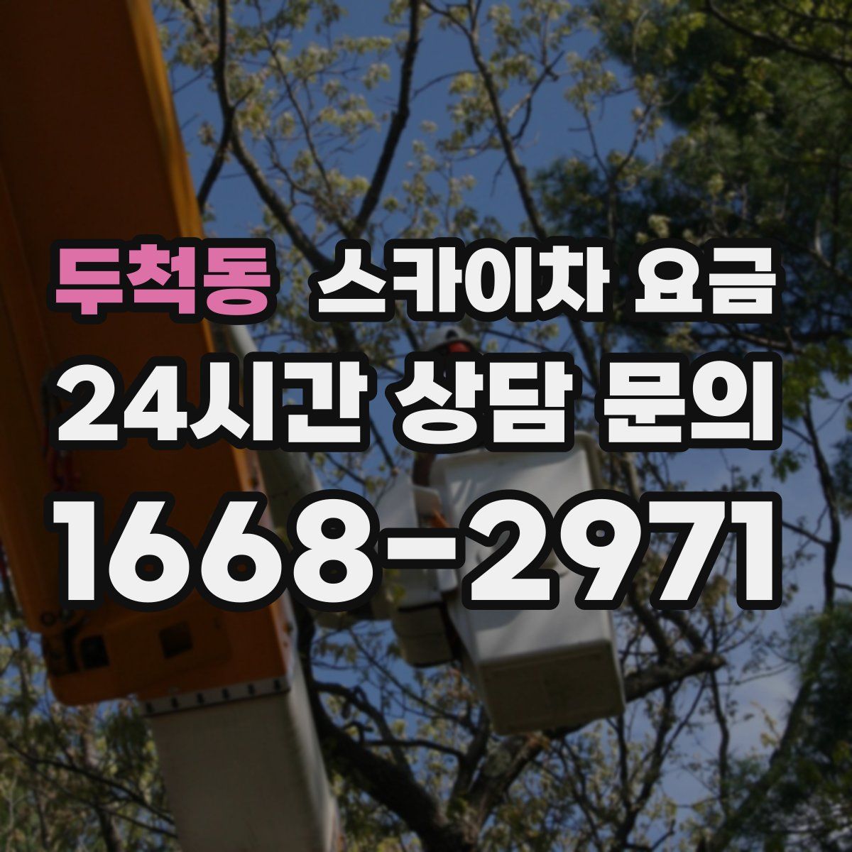 두척동 스카이차 요금