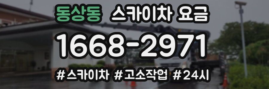 동상동 스카이차 요금