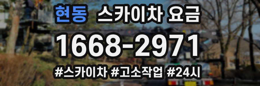 현동 스카이차 요금