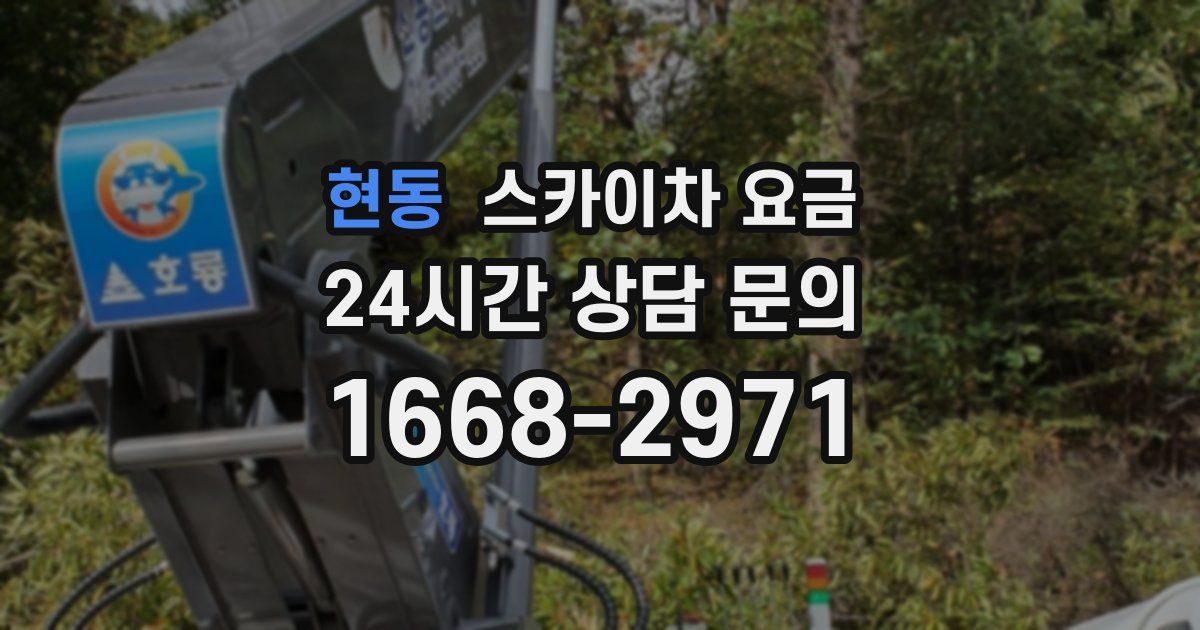 현동 스카이차 요금