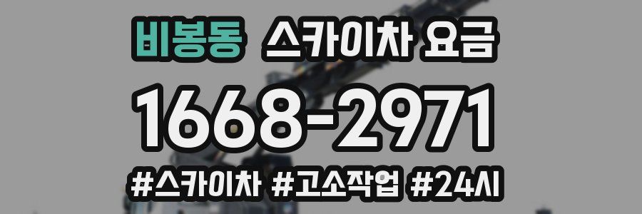 비봉동 스카이차 요금