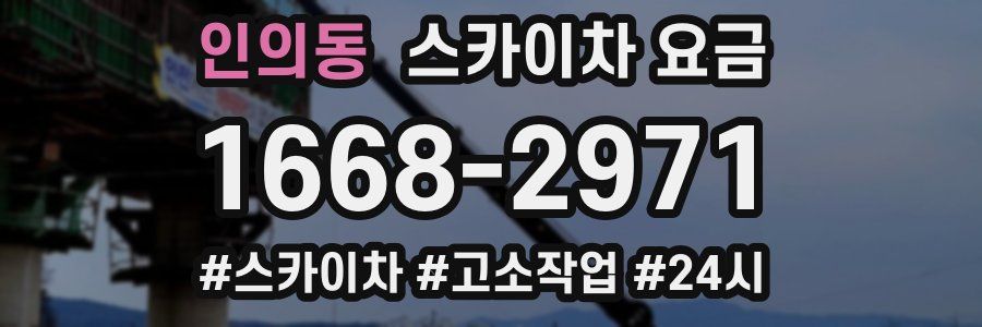 인의동 스카이차 요금