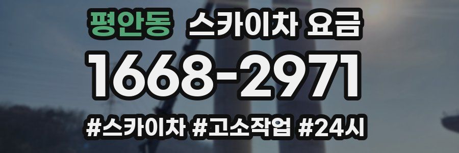 평안동 스카이차 요금