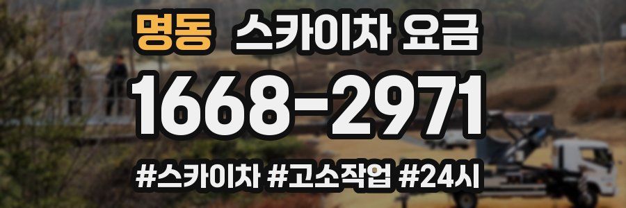 명동 스카이차 요금