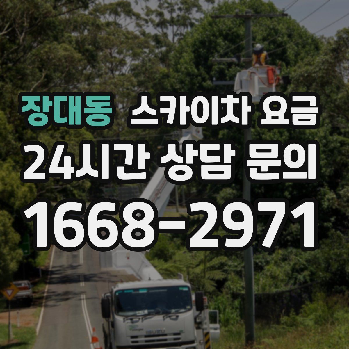 장대동 스카이차 요금