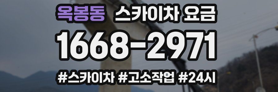 옥봉동 스카이차 요금