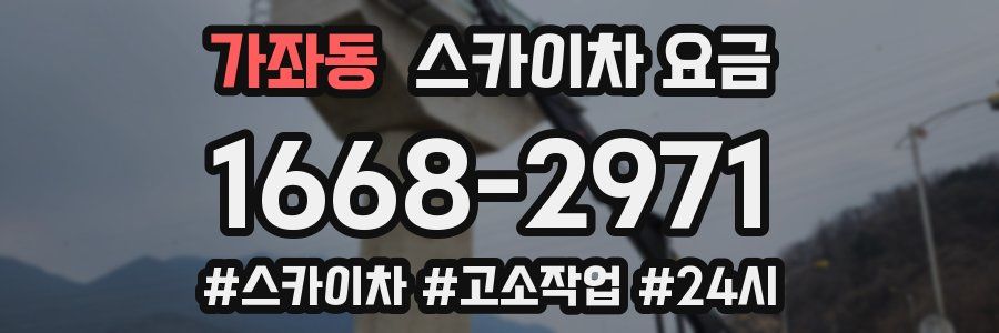 가좌동 스카이차 요금