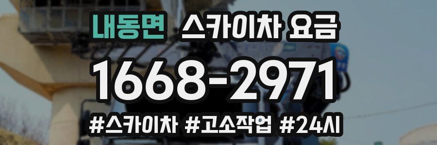 내동면 스카이차 요금