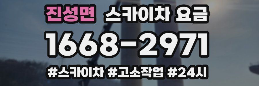 진성면 스카이차 요금