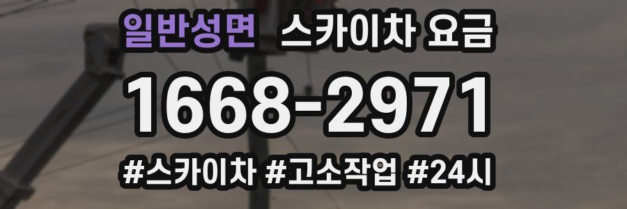 일반성면 스카이차 요금