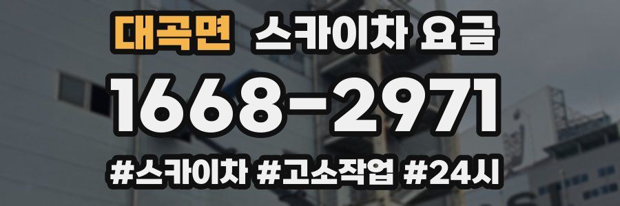 대곡면 스카이차 요금