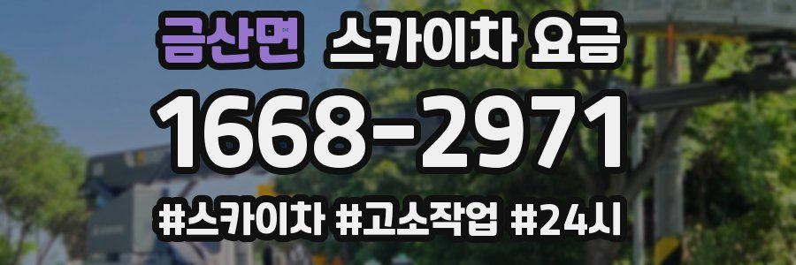 금산면 스카이차 요금