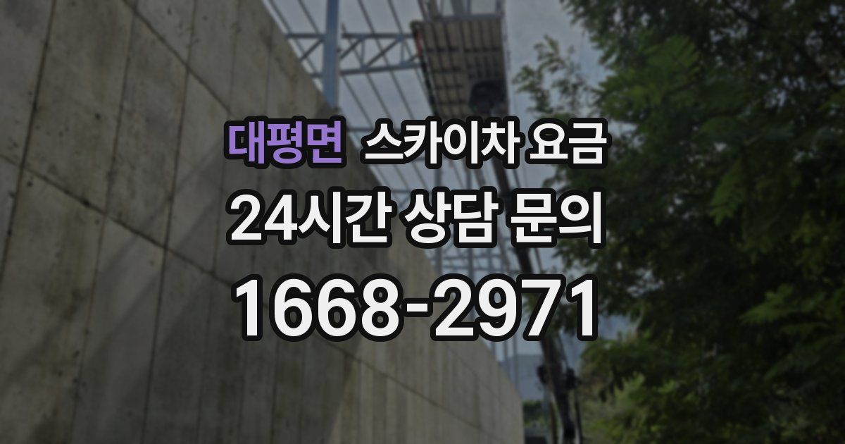 대평면 스카이차 요금