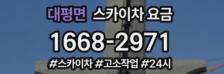 대평면 스카이차 요금