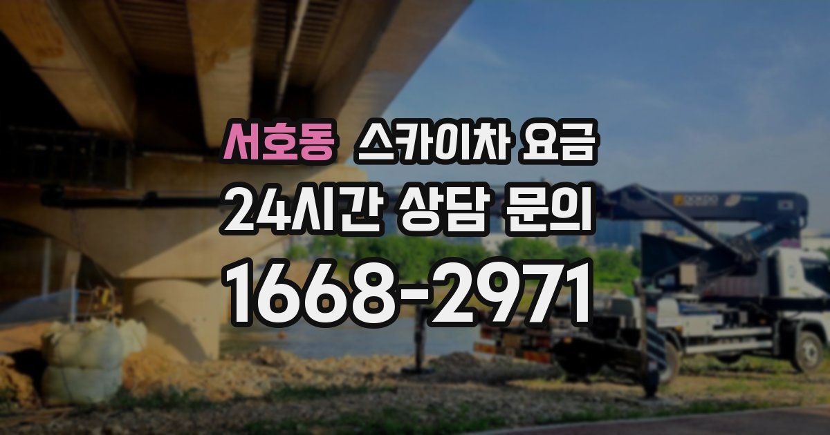 서호동 스카이차 요금