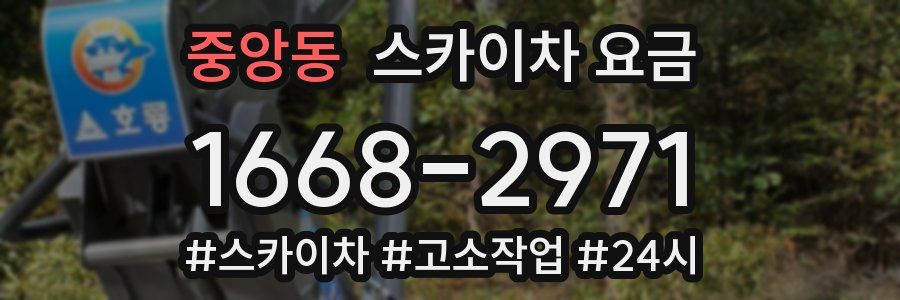 중앙동 스카이차 요금