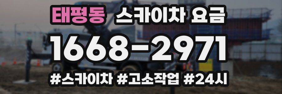 태평동 스카이차 요금