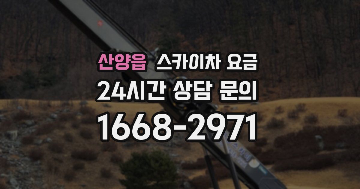 산양읍 스카이차 요금