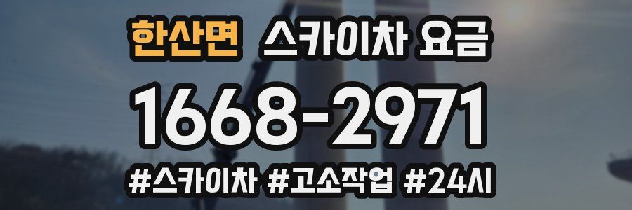 한산면 스카이차 요금