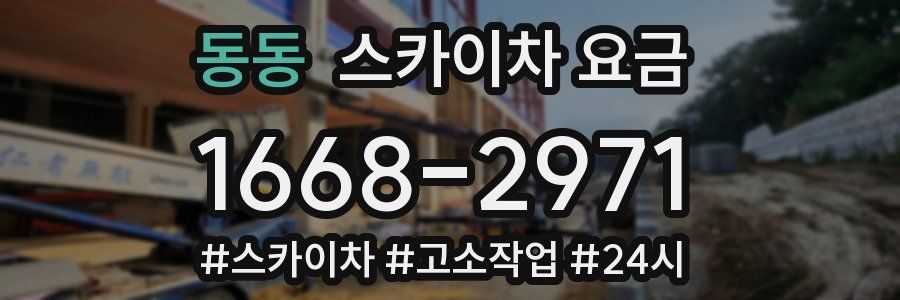 동동 스카이차 요금