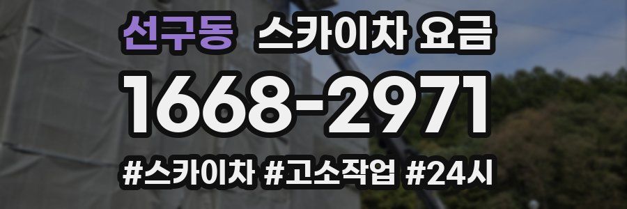 선구동 스카이차 요금