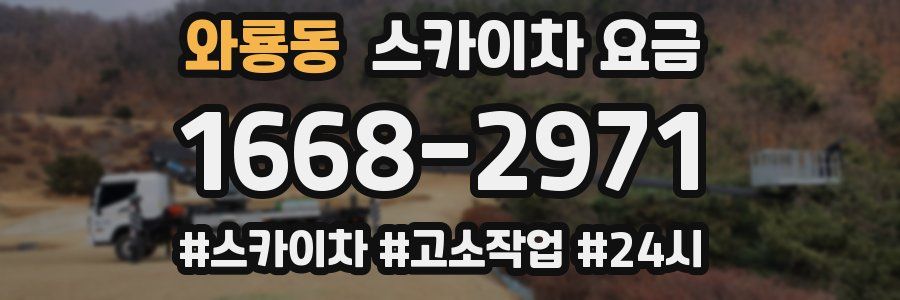 와룡동 스카이차 요금